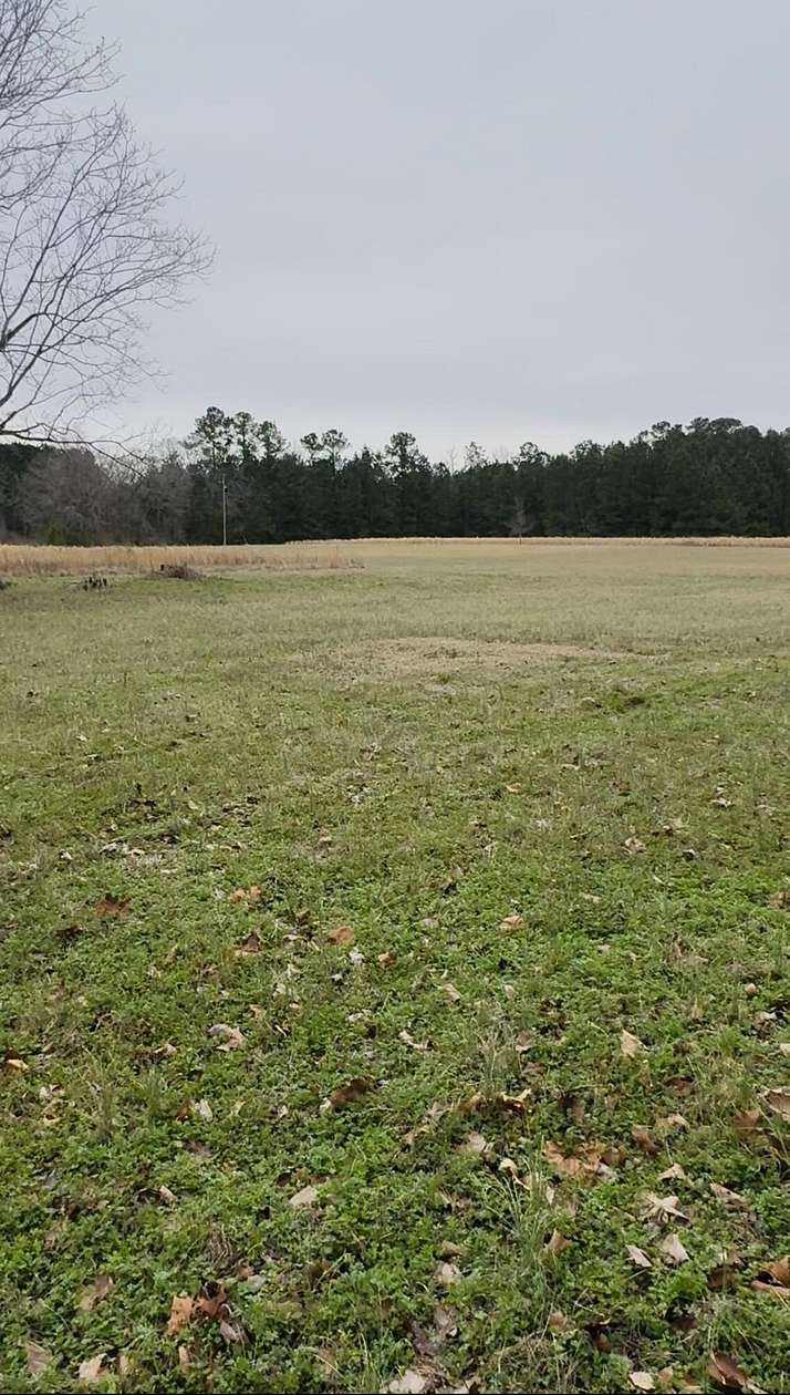 1.49 Acres of Residential Land for Sale in St. George, South Carolina