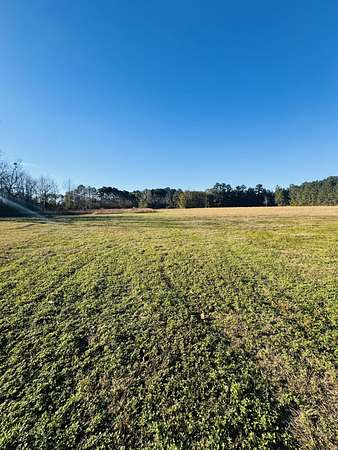 1.49 Acres of Residential Land for Sale in St. George, South Carolina