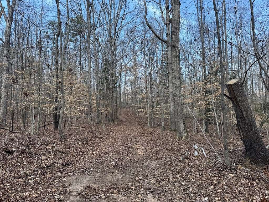 9.9 Acres of Land for Sale in Donalds, South Carolina