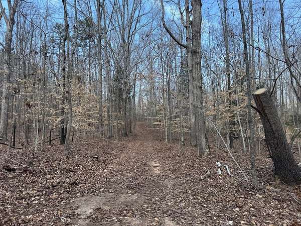 9.9 Acres of Land for Sale in Donalds, South Carolina