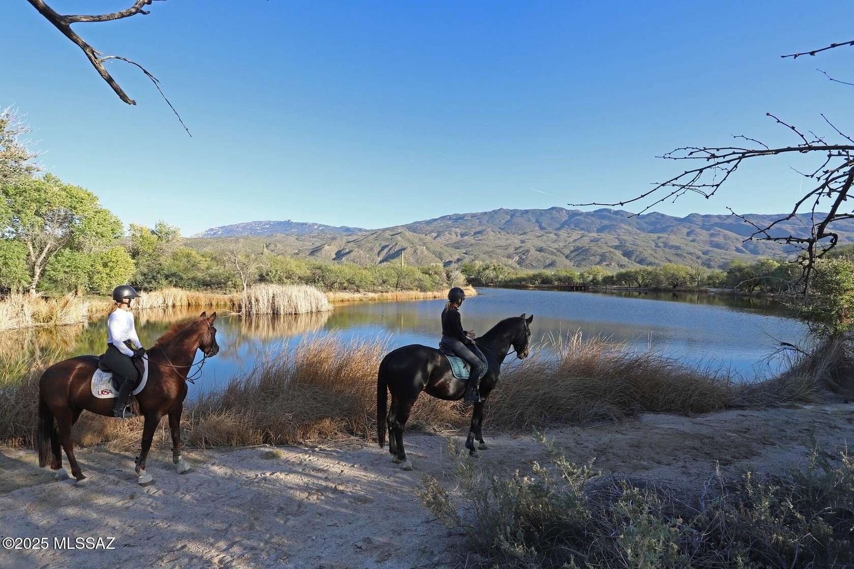 4.74 Acres of Land with Home for Sale in Tucson, Arizona