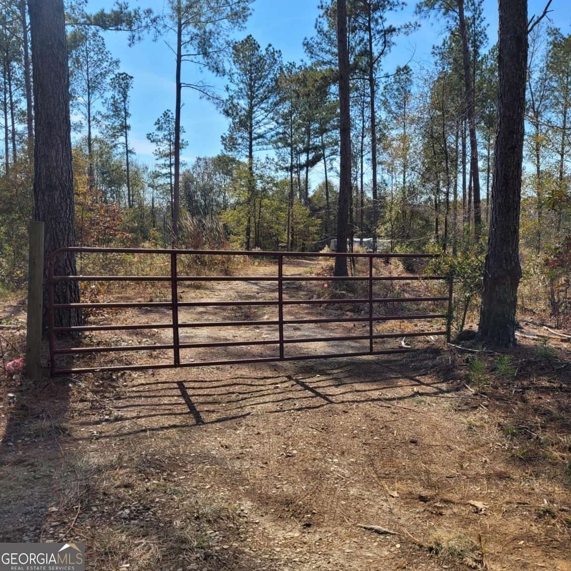 14 Acres of Recreational Land for Sale in Dewy Rose, Georgia