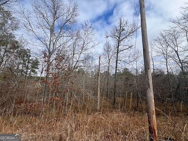 0.5 Acres of Land for Sale in Sparta, Georgia