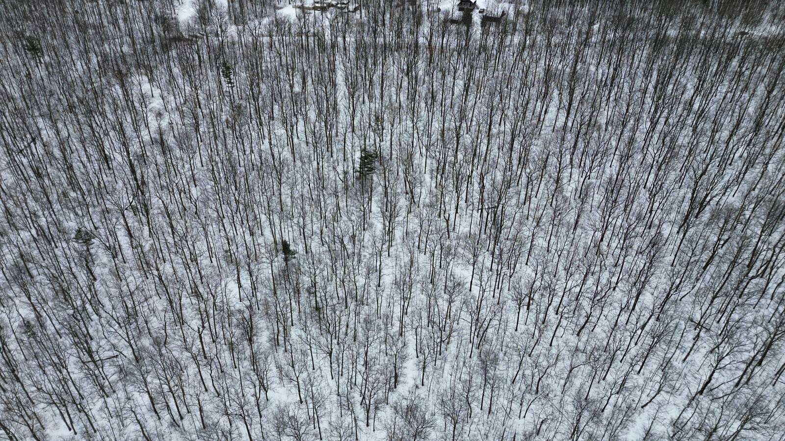 6.1 Acres of Residential Land for Sale in Branchport, New York