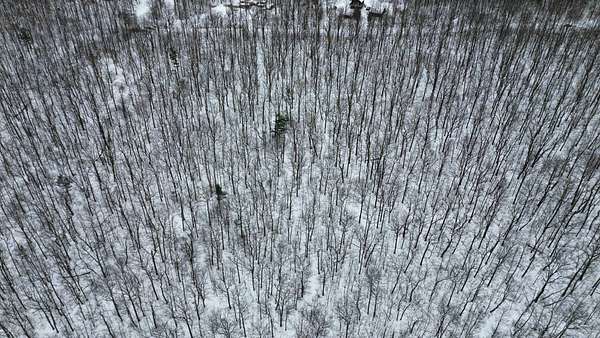 6.1 Acres of Residential Land for Sale in Branchport, New York