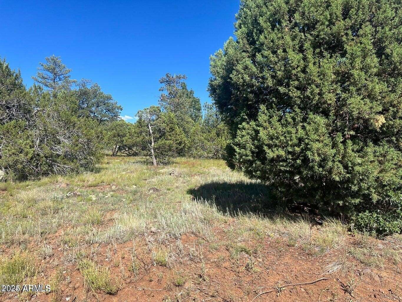 0.57 Acres of Residential Land for Sale in Lakeside, Arizona