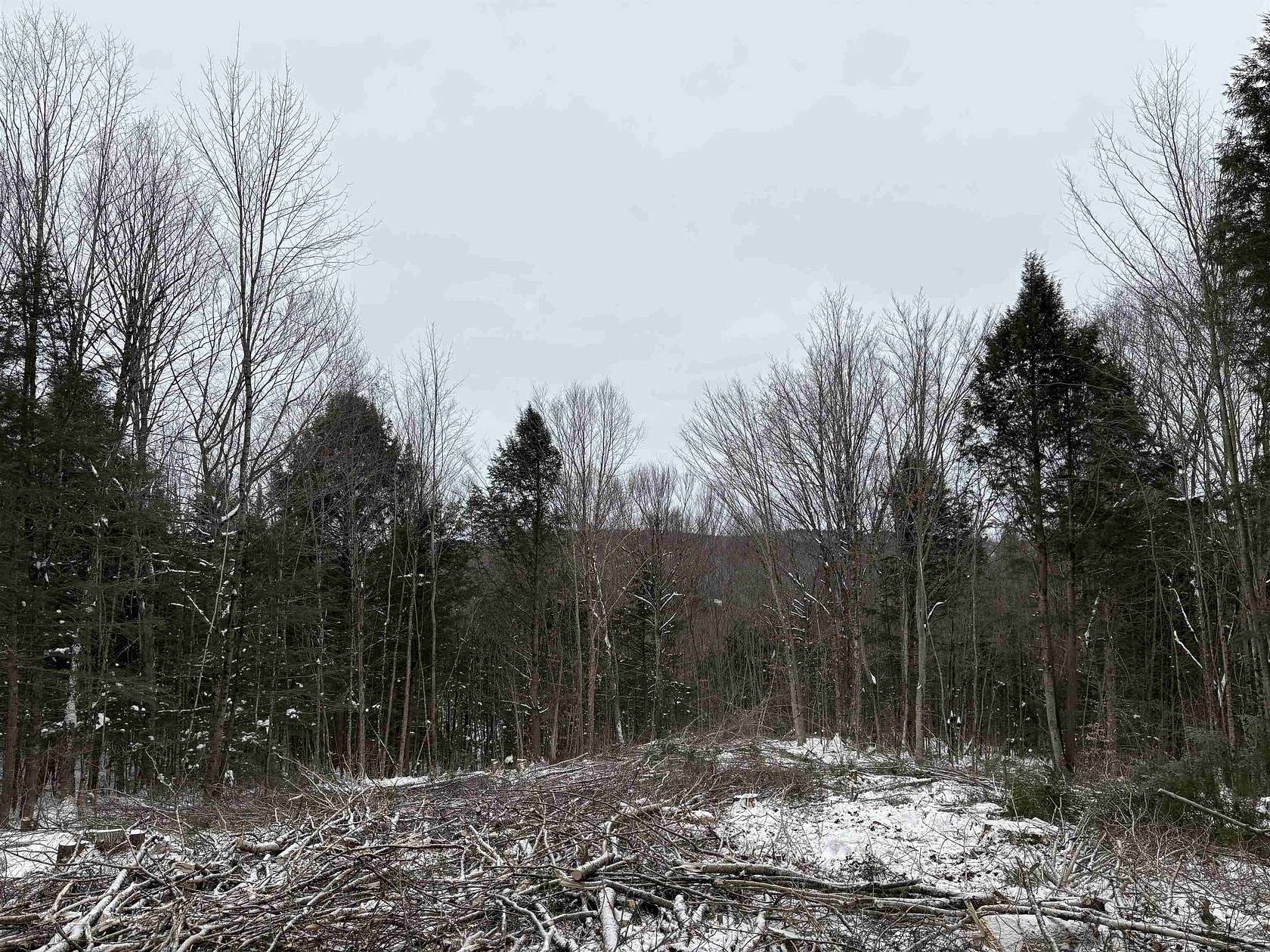 17.8 Acres of Recreational Land for Sale in Wheelock, Vermont