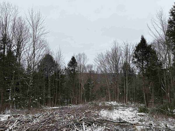 17.8 Acres of Recreational Land for Sale in Wheelock, Vermont