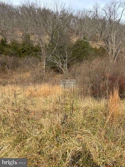 9.82 Acres of Residential Land for Sale in Lost City, West Virginia