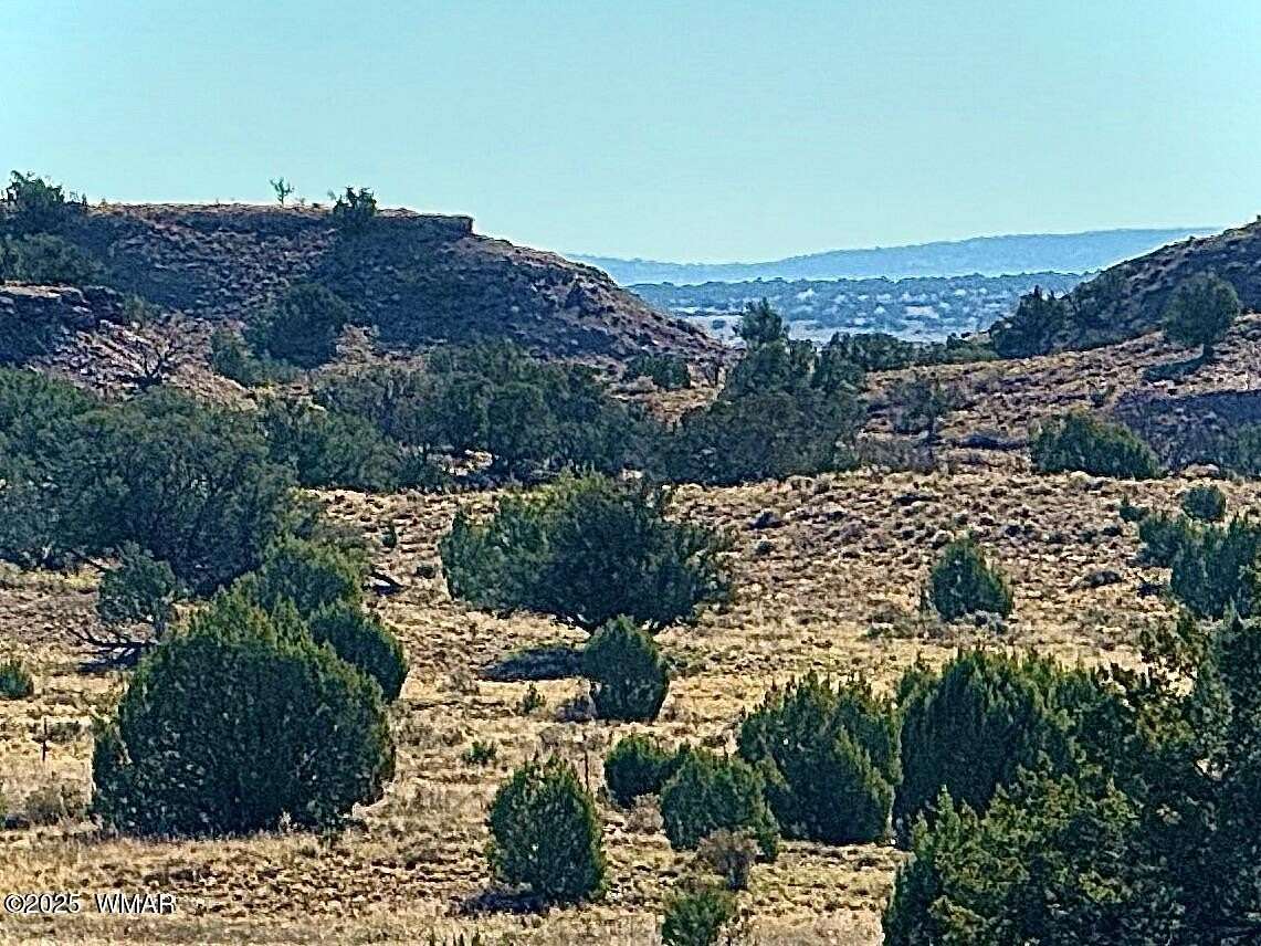 36.6 Acres of Recreational Land for Sale in Concho, Arizona