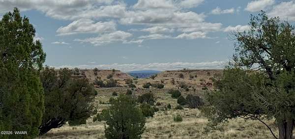 36.6 Acres of Land for Sale in Concho, Arizona