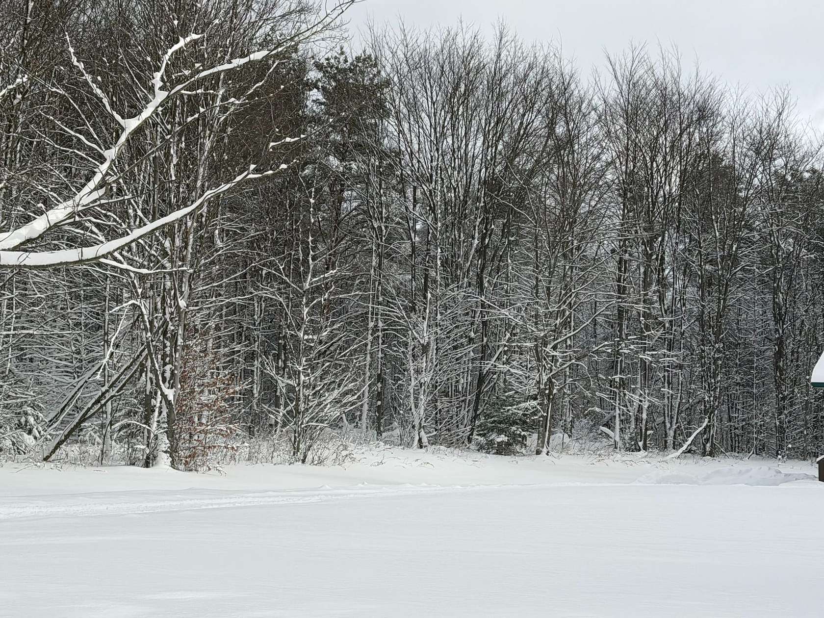 307 Acres of Recreational Land for Sale in Forestville, New York