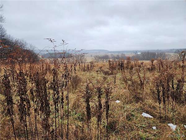 307 Acres of Recreational Land & Farm for Sale in Forestville, New York