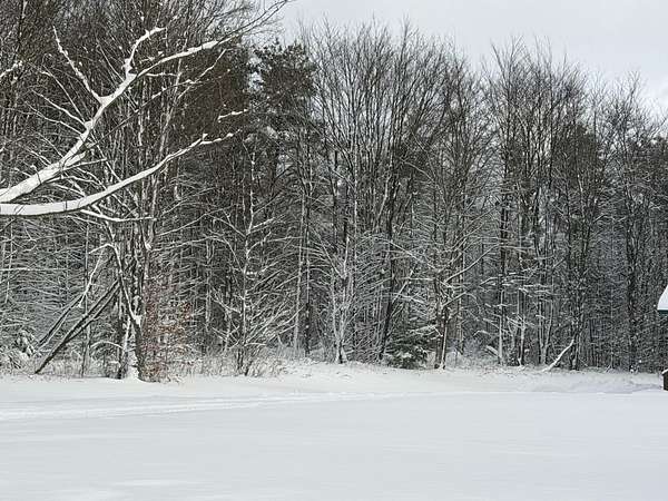 307 Acres of Recreational Land for Sale in Forestville, New York