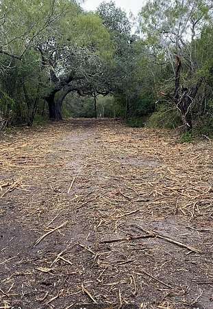 13.5 Acres of Land for Sale in Beeville, Texas