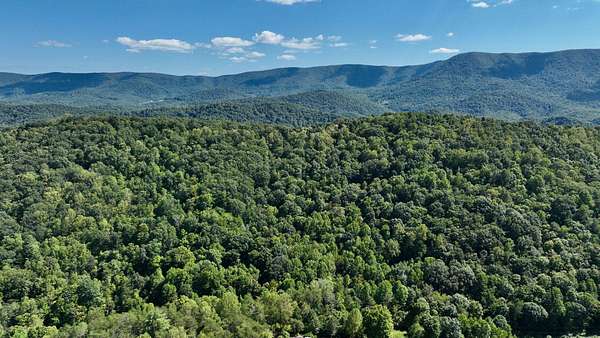 43.8 Acres of Recreational Land for Sale in Oakvale, West Virginia