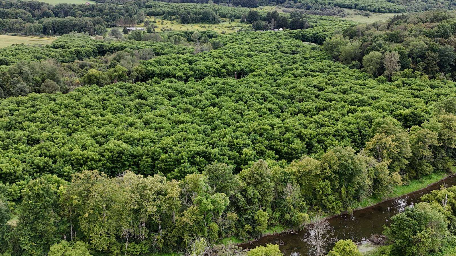 58.8 Acres of Recreational Land for Sale in Earlville, New York