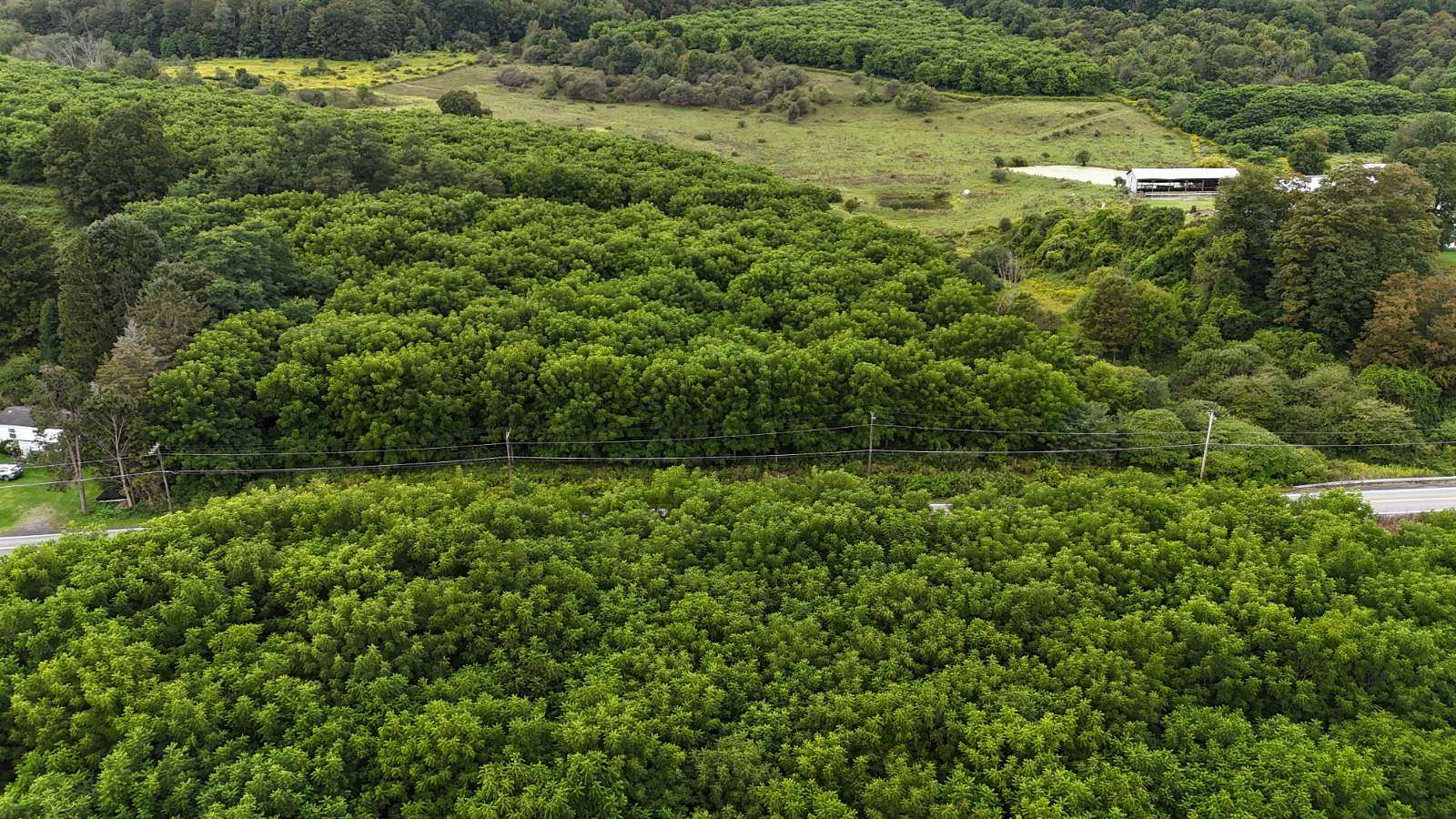 4.4 Acres of Residential Land for Sale in Earlville, New York