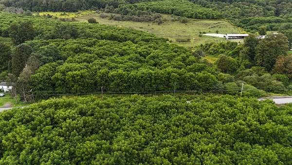 4.4 Acres of Residential Land for Sale in Earlville, New York