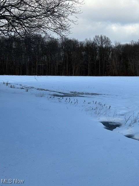 9.14 Acres of Residential Land for Sale in Jefferson, Ohio