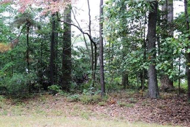 0.33 Acres of Residential Land for Sale in Greenbackville, Virginia
