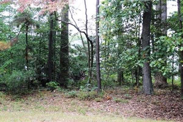 0.33 Acres of Residential Land for Sale in Greenbackville, Virginia