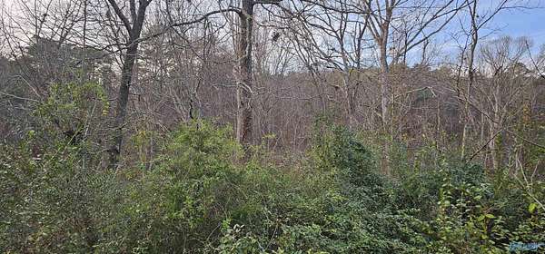 0.37 Acres of Residential Land for Sale in Fort Payne, Alabama