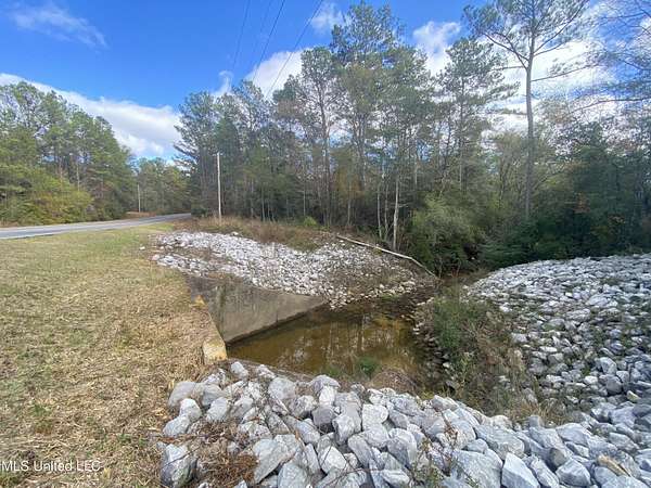 12.1 Acres of Land for Sale in Perkinston, Mississippi
