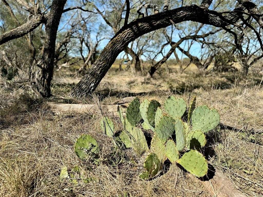 10.3 Acres of Recreational Land for Sale in Rochelle, Texas