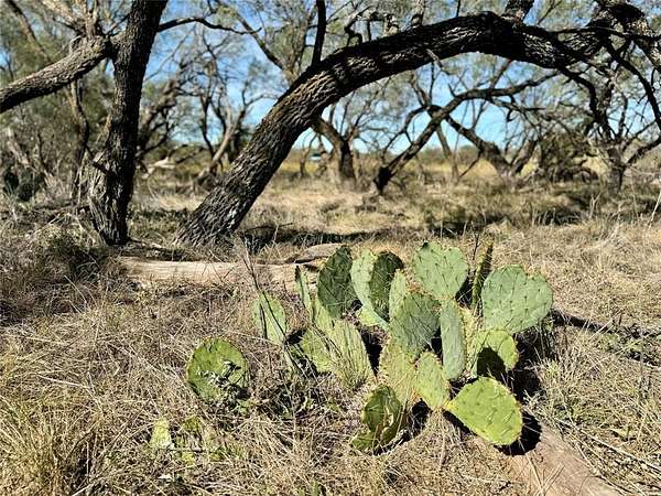 10.3 Acres of Recreational Land for Sale in Rochelle, Texas