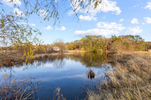 31.2 Acres of Land for Sale in Telephone, Texas