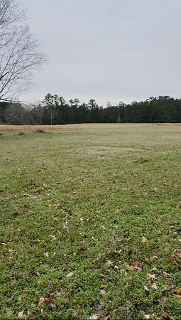 1.17 Acres of Residential Land for Sale in St. George, South Carolina