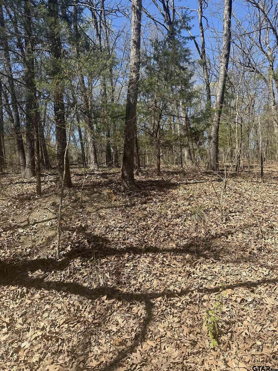 0.22 Acres of Residential Land for Sale in Mount Vernon, Texas