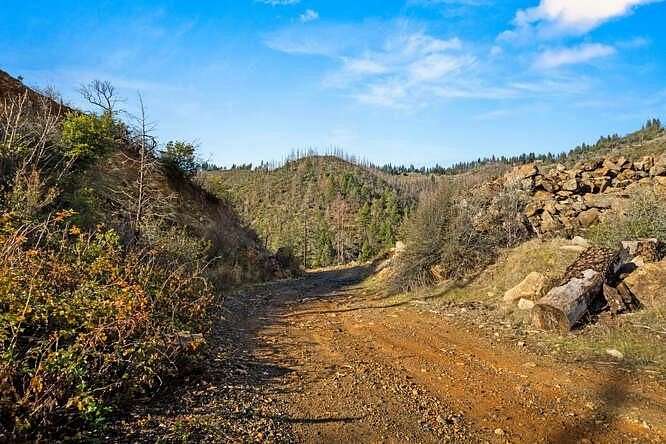 80 Acres of Recreational & Residential Land for Sale in Paradise, California