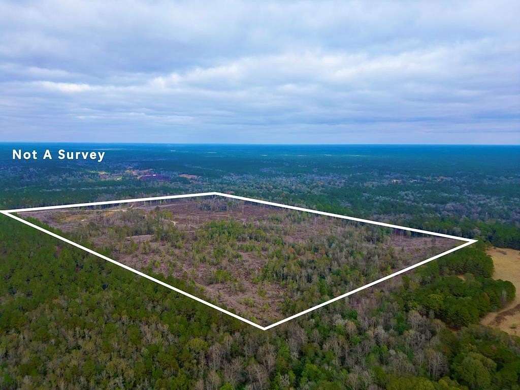 120 Acres of Recreational Land for Sale in Lumberton, Mississippi