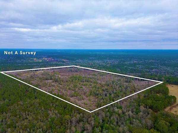 120 Acres of Recreational Land for Sale in Lumberton, Mississippi