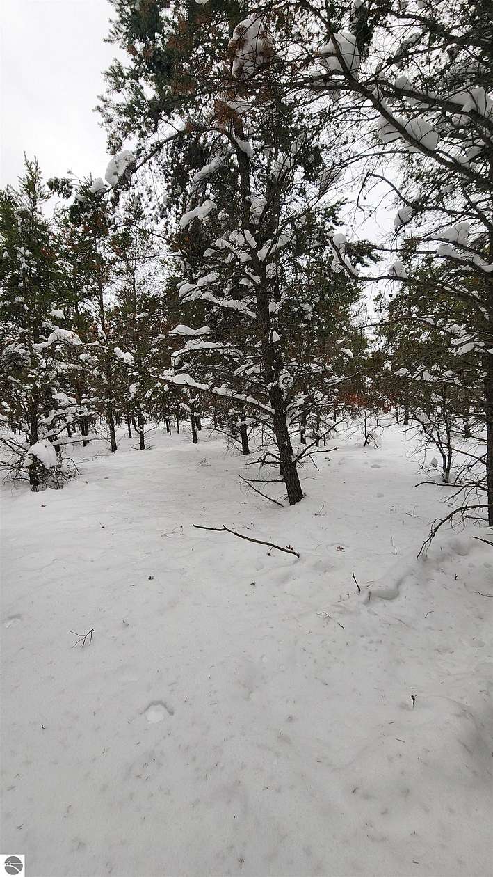 2.33 Acres of Residential Land for Sale in Grayling, Michigan