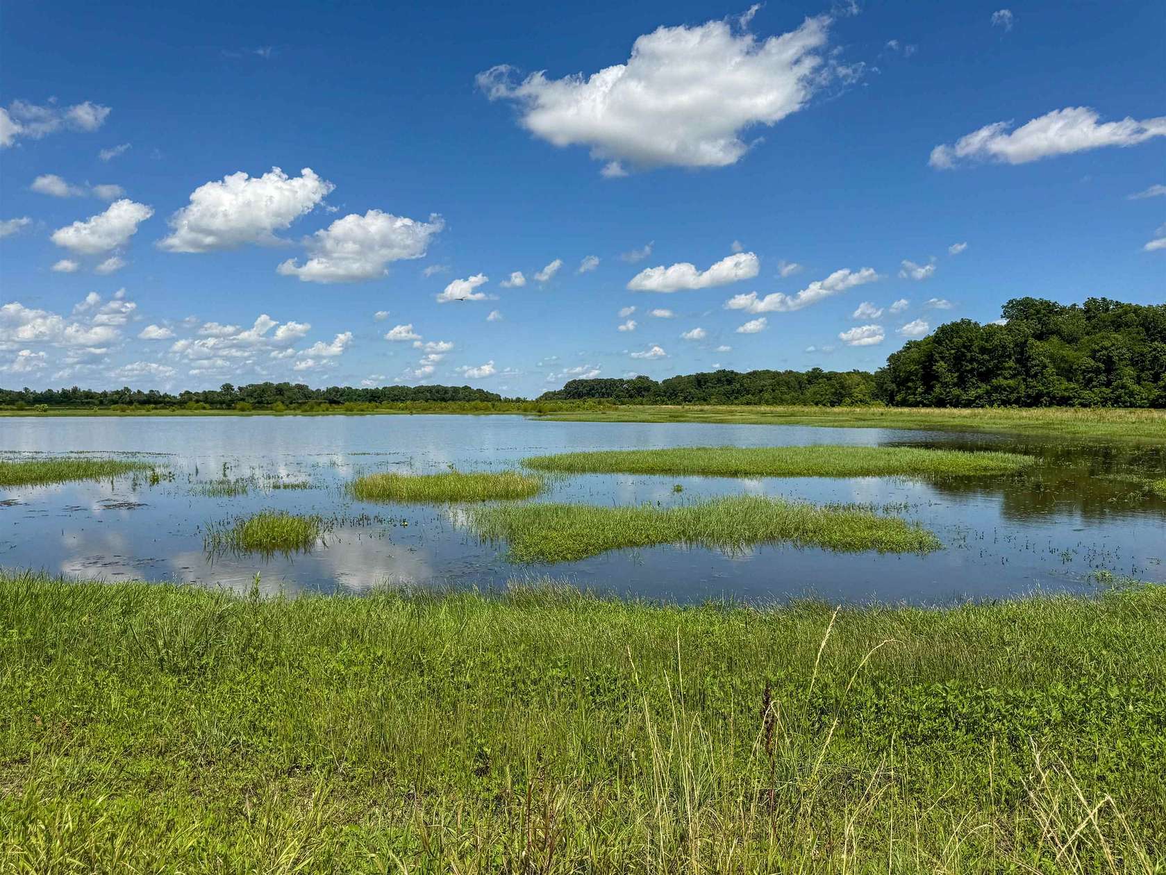 525 Acres of Recreational Land for Sale in Alicia, Arkansas