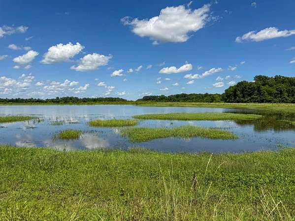 525 Acres of Recreational Land for Sale in Alicia, Arkansas