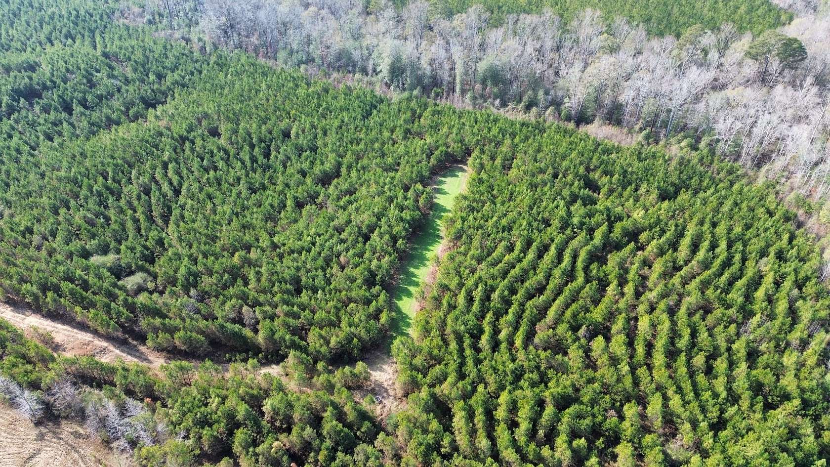 42 Acres of Recreational Land for Sale in Millport, Alabama