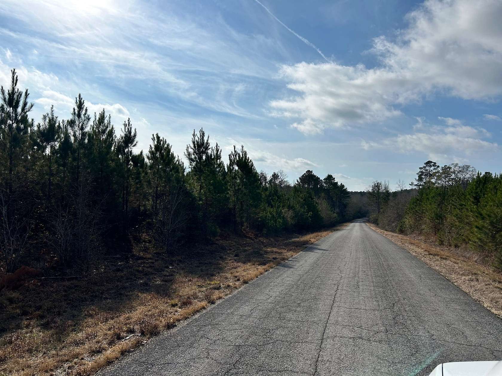 42 Acres of Recreational Land for Sale in Millport, Alabama