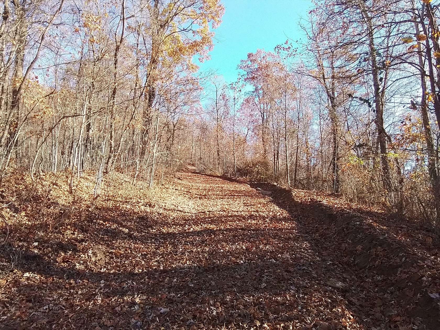 92 Acres of Recreational Land for Sale in Murphy, North Carolina