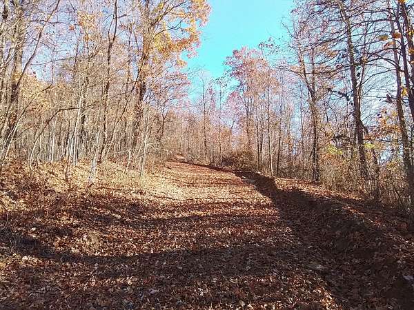 92 Acres of Recreational Land for Sale in Murphy, North Carolina