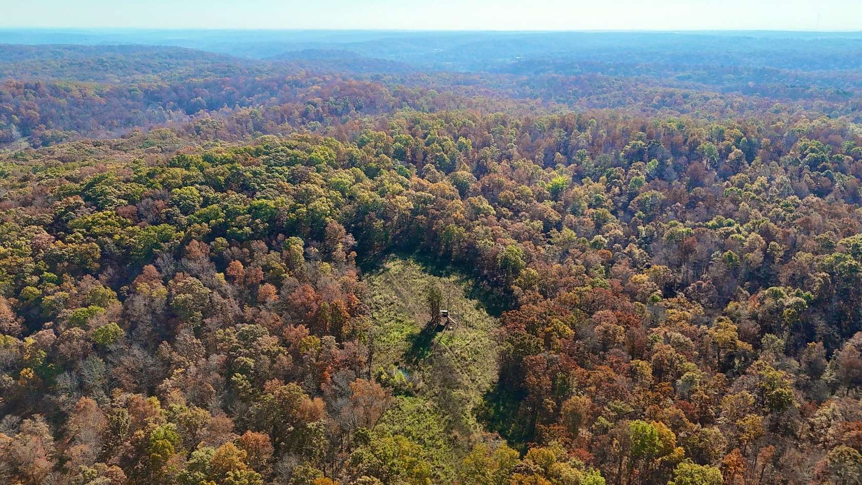 62 Acres of Recreational Land & Farm for Sale in Glen Allen, Missouri