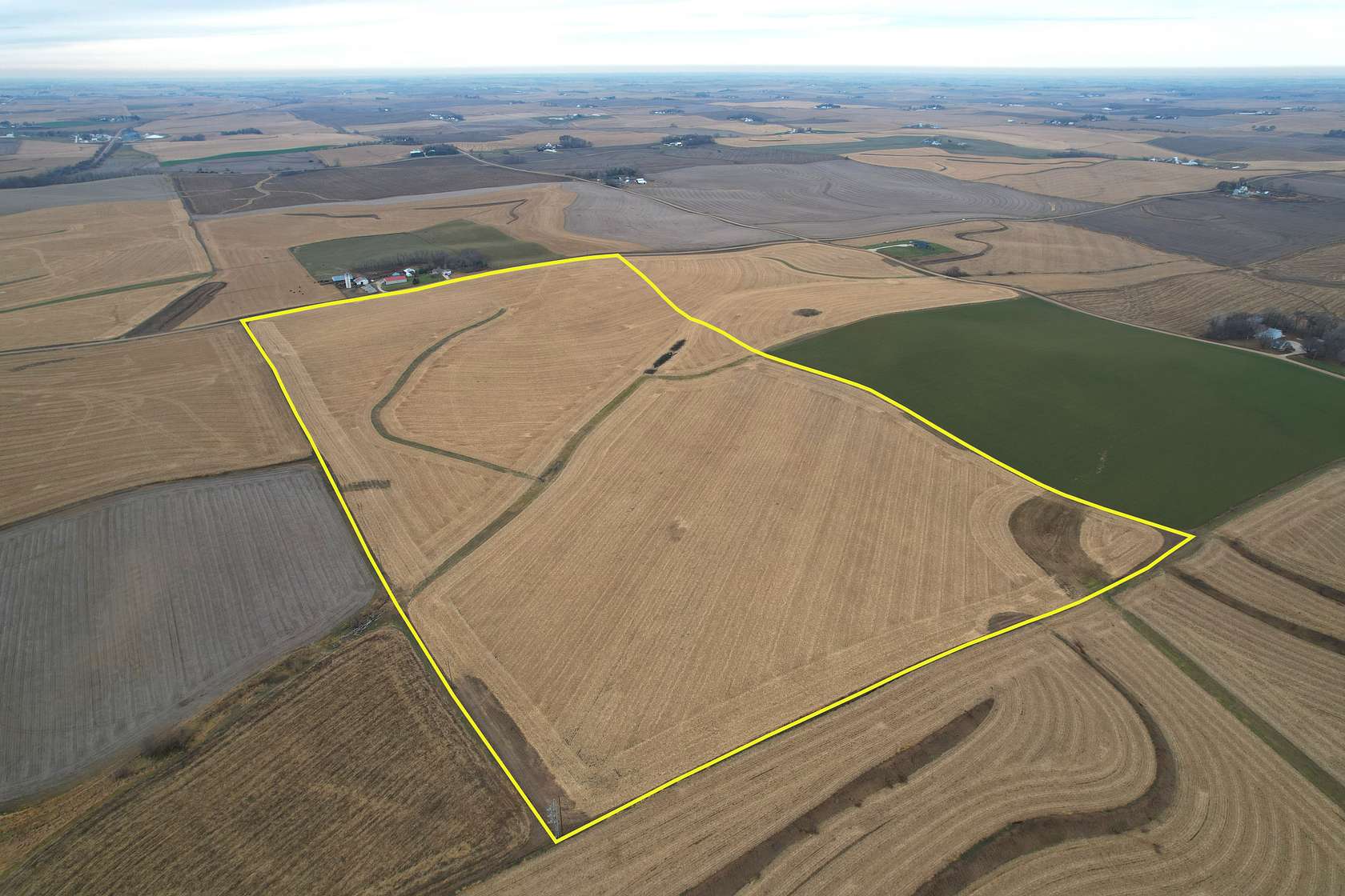 79.8 Acres of Agricultural Land for Auction in Manning, Iowa