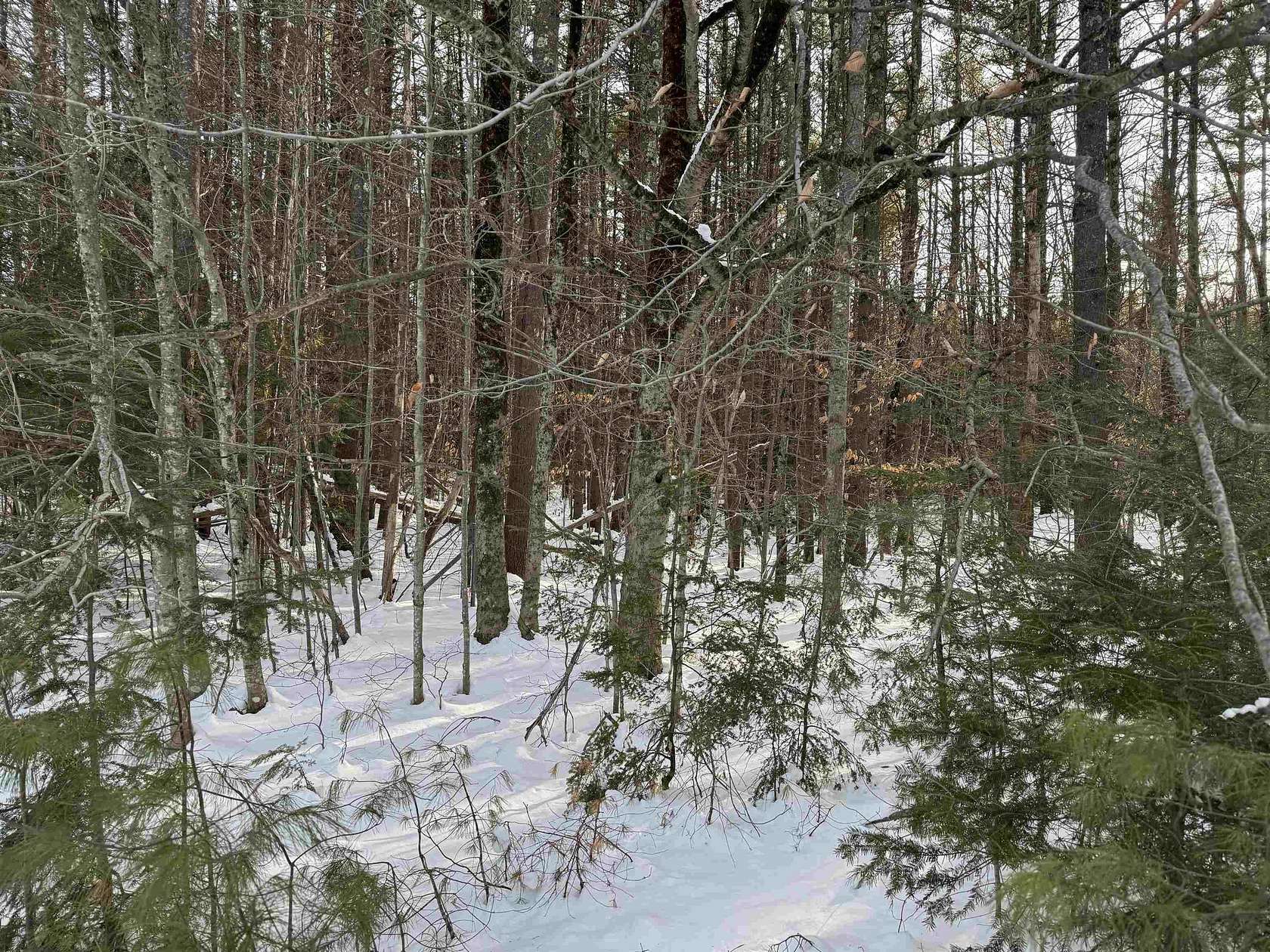 2.4 Acres of Commercial Land for Sale in Tamworth, New Hampshire