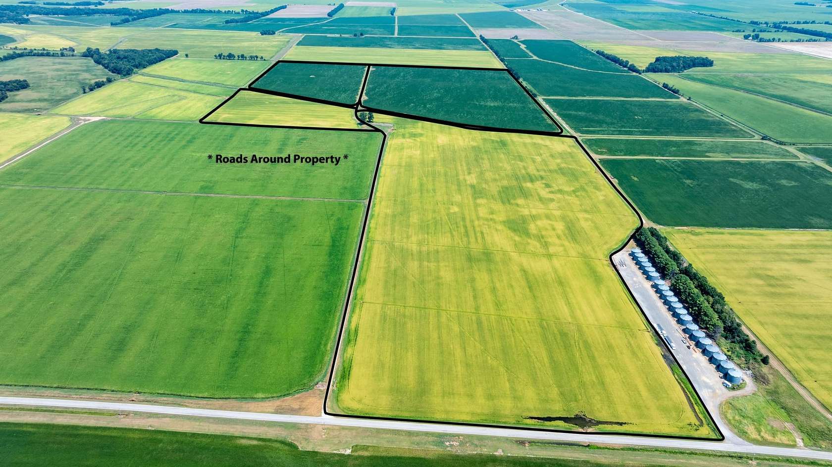 224 Acres of Land for Sale in Alicia, Arkansas