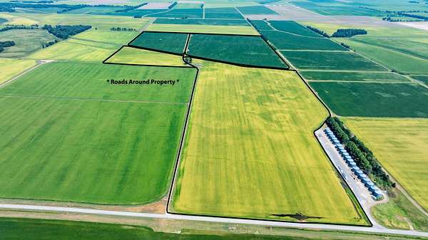 224 Acres of Land for Sale in Alicia, Arkansas