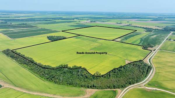 312 Acres of Land for Sale in Alicia, Arkansas