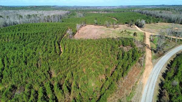 260 Acres of Recreational Land for Sale in Millport, Alabama